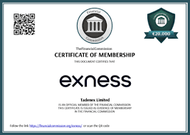 Understanding Exness MT4 Multiterminal A Comprehensive Guide